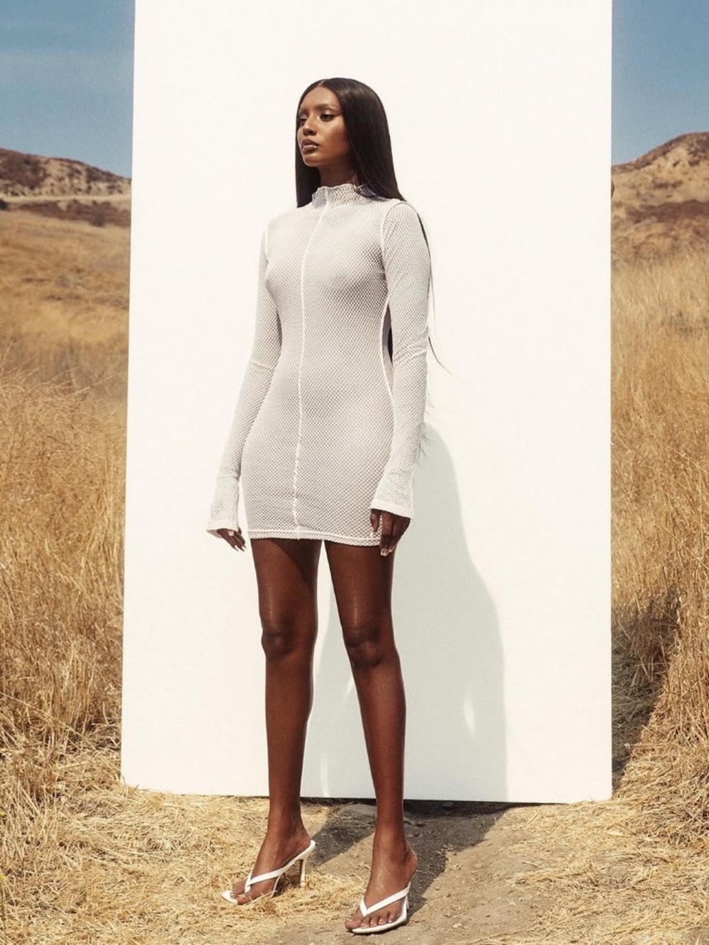Monnowear Long-Sleeve Mesh Mini Dress
